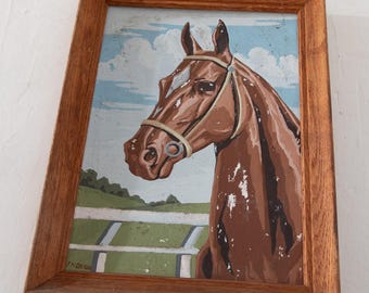 Paint by Numbers Horse Painting Framed