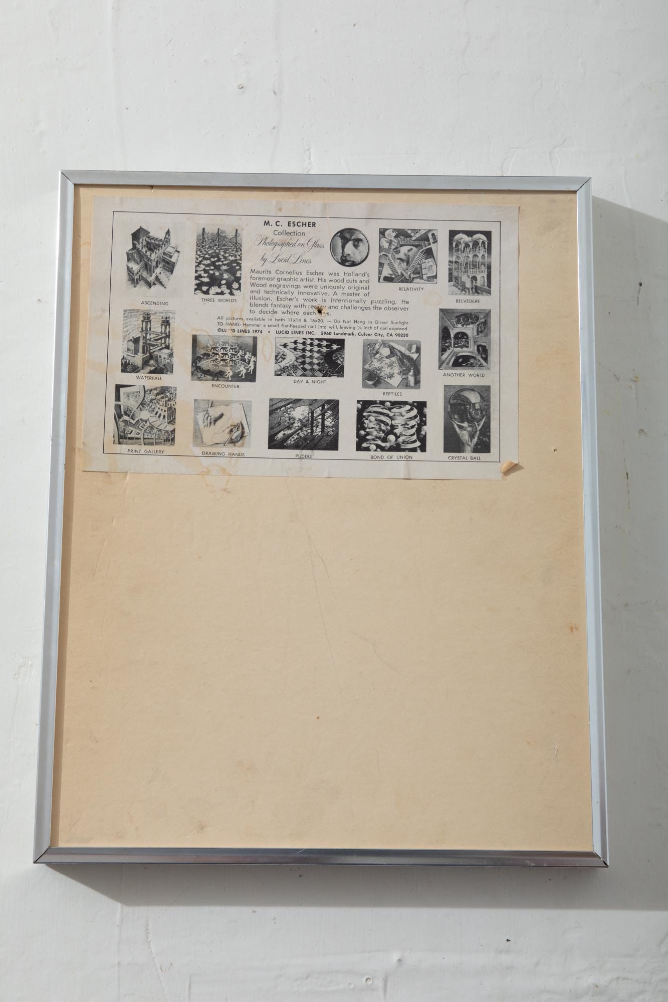 gallery photo
