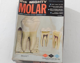 The Mighty Molar Model Superior Plastics INC. 1962