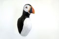 Puffin bird, Faux Taxidermy paper mache wall decor