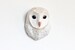 White Owl from woodland, Faux Taxidermy owl mask 