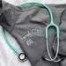 see more listings in the Nurse/Medical Field section