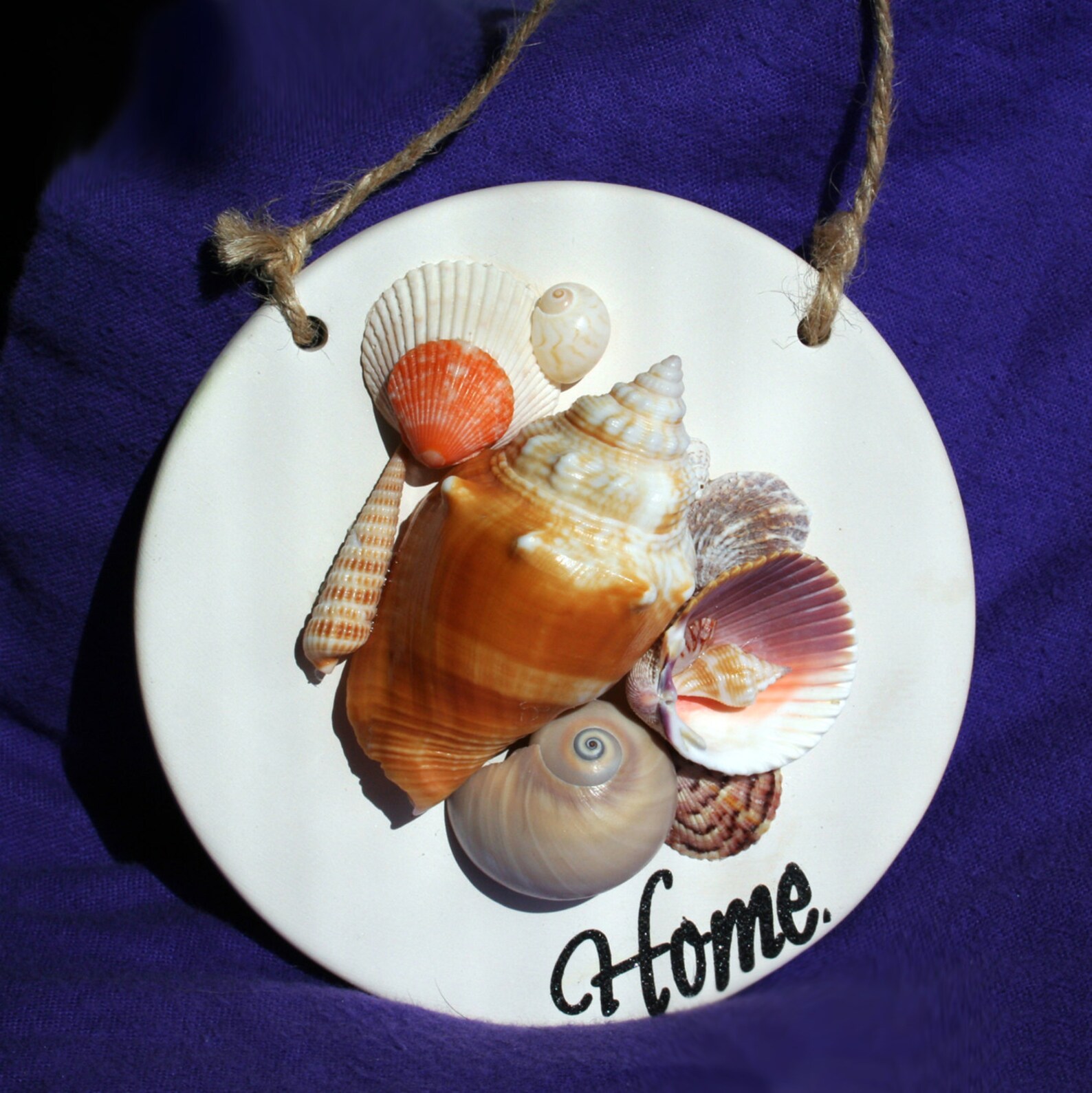 Seashells on ceramic wall art Etsy