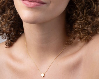 May include: A gold chain necklace with a small, six-pointed star pendant.