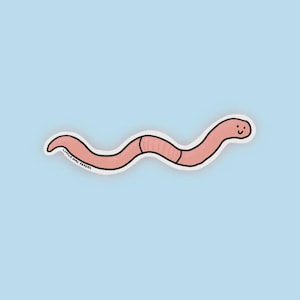 Erde Wurm Sticker