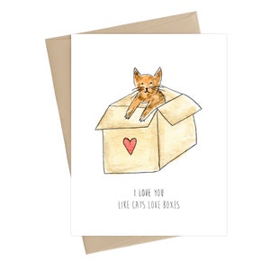 Funny Valentines Card // I love you like cats love boxes // Valentines day card // Funny Valentines card image 1