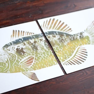 colored LARGEMOUTH BASS Hand-Printed two 11 x 14 inch prints image 1