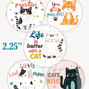 Pode incluir: Conjunto de cinco botões redondos com tema de gato de 2,25 polegadas com vários designs e dizeres. Os botões apresentam fundos brancos, pretos, laranja e rosa com pegadas coloridas e ilustrações de gatos. Os dizeres incluem "Mantenha-se positivo", "Você é perfeito!", "A vida é melhor com um GATO", "Viva, ronroneie" e "Os gatos mandam!"