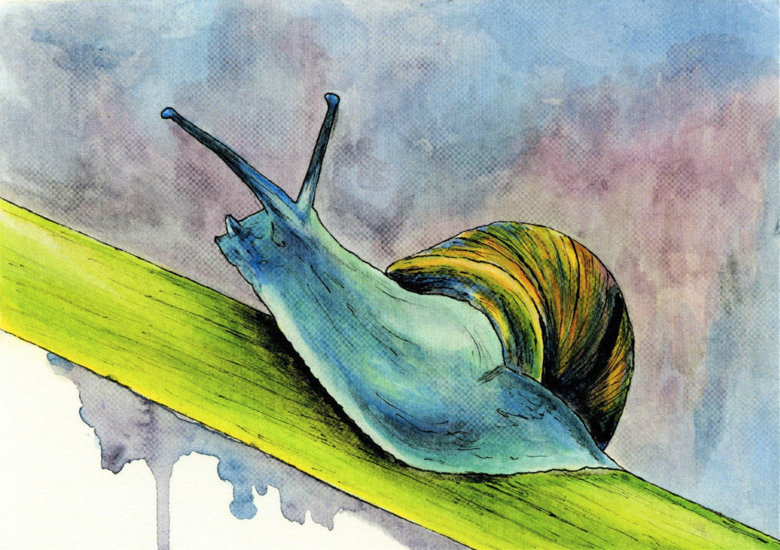 Snail Print Watercolor Painting Snail Painting Snail Print Etsy