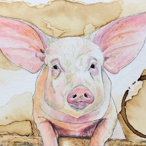 Pig, Pig Print, Pig Painting, Animal art, Farm animals, Coffee art, Watercolor painting image 1