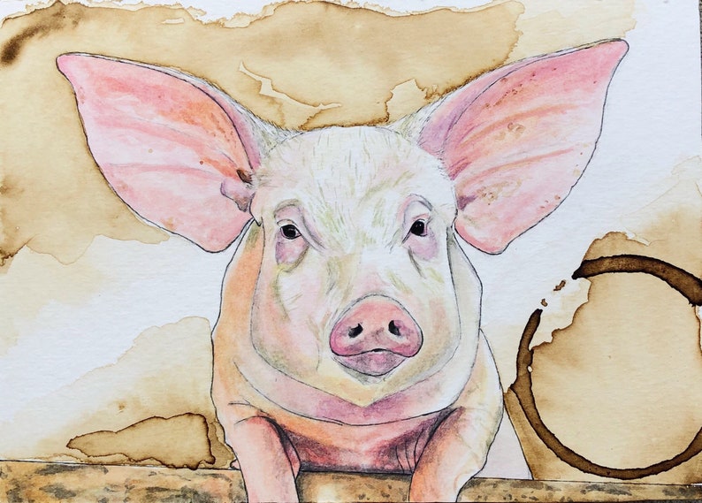 Pig, Pig Print, Pig Painting, Animal art, Farm animals, Coffee art, Watercolor painting image 1