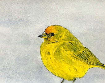 Orange Fronted Yellow Finch- watercolor painting, bird print, yellow finch, bird decor, bird art