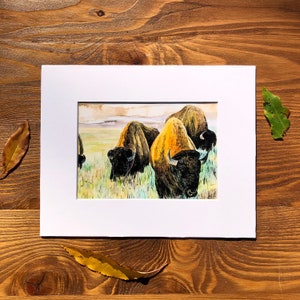 Bison Print, Bison art, Bison Painting, watercolor art, animal art, coffee art