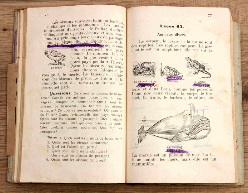 Ancienne liseuse française des années 1910, livre imprimé en Bulgarie à Philippopoli, ouvrage de référence illustré image 7