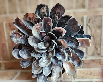 Oyster Shell Flower Cluster Art North Carolina Beach Treasures Perfect Unique Gift Idea