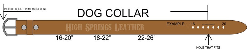May include: Diagram showing how to measure a dog collar, including the buckle. The diagram shows a brown leather collar with a silver buckle and multiple holes for adjusting the size. The collar is labeled with sizes 16-20 inches, 18-22 inches, and 22-26 inches. The text "HIGH SPRINGS LEATHER" is printed on the collar. An example measurement is shown with a line indicating a size of 16 inches.