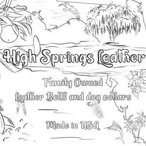 May include: Black and white line drawing illustration of a map of Florida with the text "High Springs Leather" and the words "Family Owned, Leather Belts and Dog Collars, Made in USA".