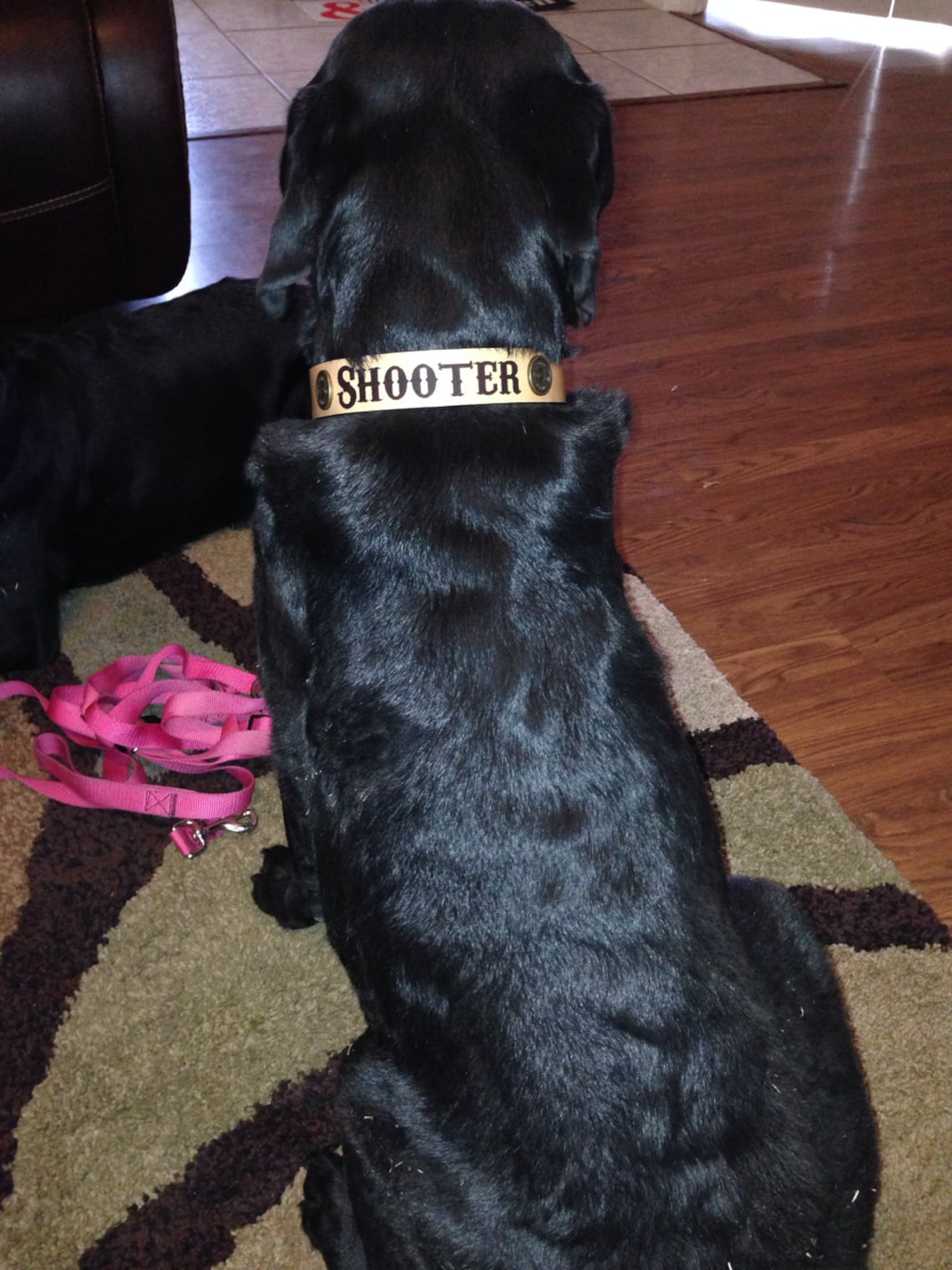 Leather Dog Collar Shotgun Shells Includes Name Engraved Etsy