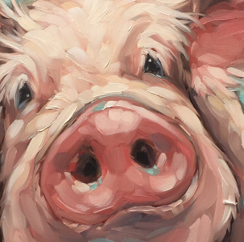 Pig painting Original impressionistic oil painting of a sweet Etsy
