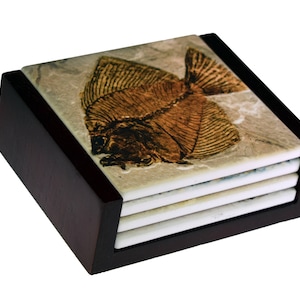 May include: A set of four coasters with a dark brown wooden frame. The top coaster features a fossilized fish with brown and gold markings on a light beige background.