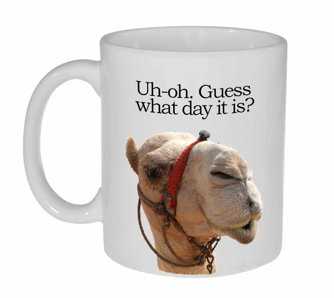 Guess what day it is camel birthday