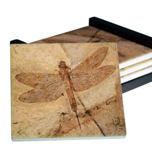 May include: Set of four square coasters with a fossilized dragonfly design. The coasters have a beige background with a detailed brown insect imprint. They are stored in a black wooden holder, offering a rustic and natural aesthetic.