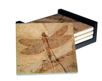 May include: Set of four square coasters with a fossilized dragonfly design. The coasters have a beige background with a detailed brown insect imprint. They are stored in a black wooden holder, offering a rustic and natural aesthetic.