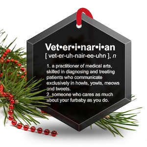 Veterinarian Definition  Christmas Tree Ornament- Beveled Glass Hexagonal