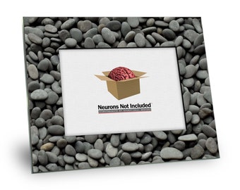 May include: A black picture frame with a gray stone design. The frame has a white mat and a clear glass front. The text "Neurons Not Included" is printed on the mat.