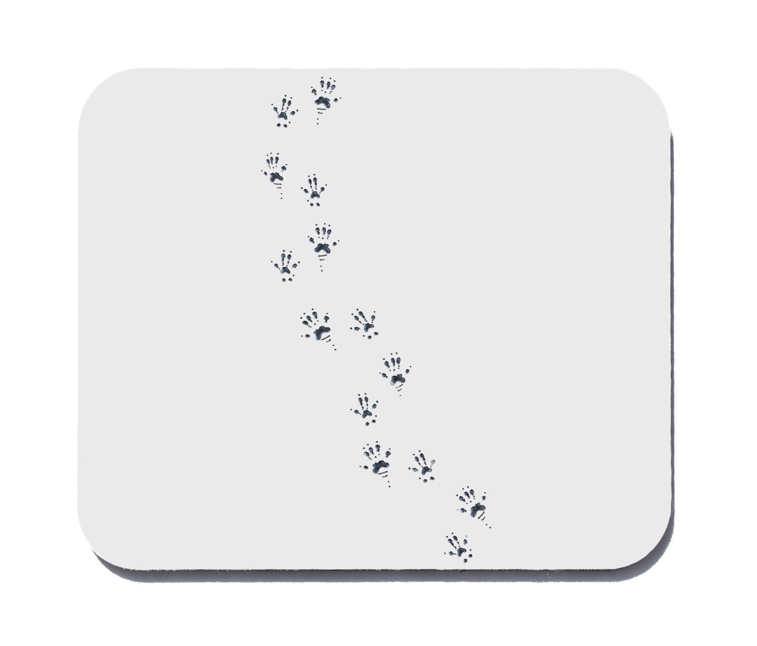 Mouse tracks in online snow
