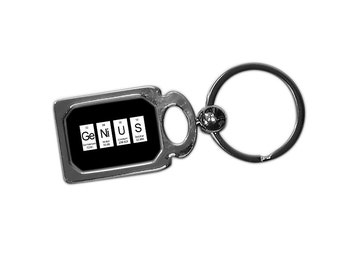 Genius Key Ring - fun chemistry periodic table of elements gift keyfob