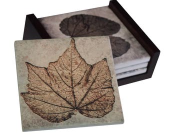 Fossile Blätter Bilder - 4-teiliges Keramik Fliesen untersetzer Set - Caddy inklusive