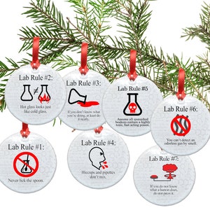 Set of Lab Rules Ceramic Christmas Ornament- Lab Rule 1-7