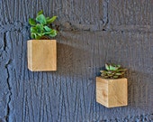 X2 Wooden Wall Planters
