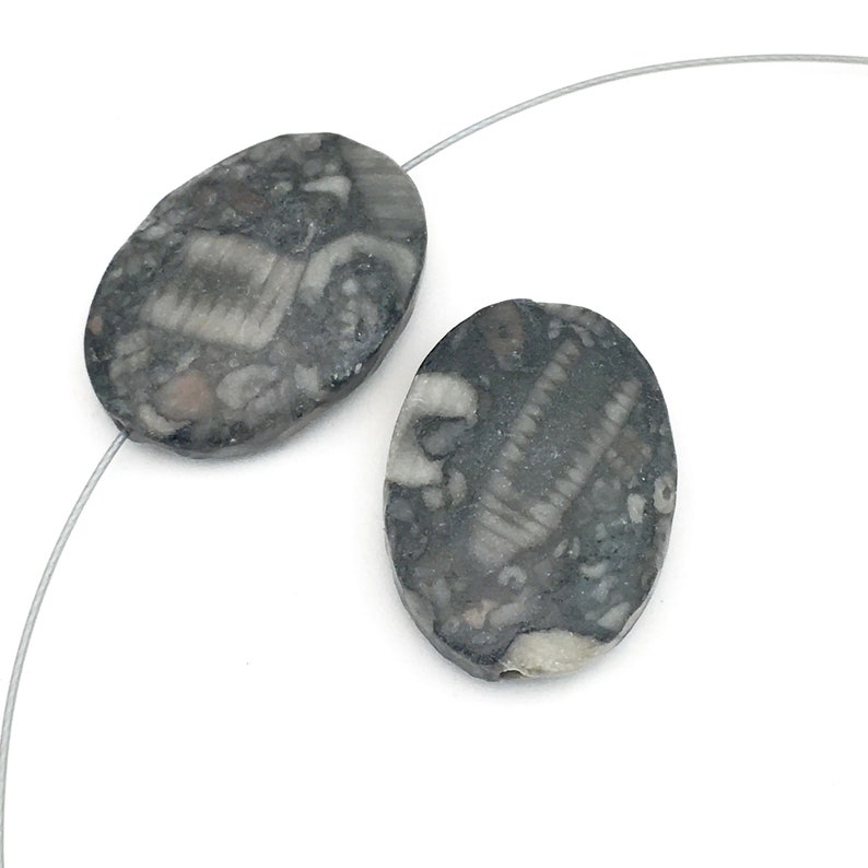2 crinoid fossil jasper stone beads18mm x 25mm / PP2587 Etsy