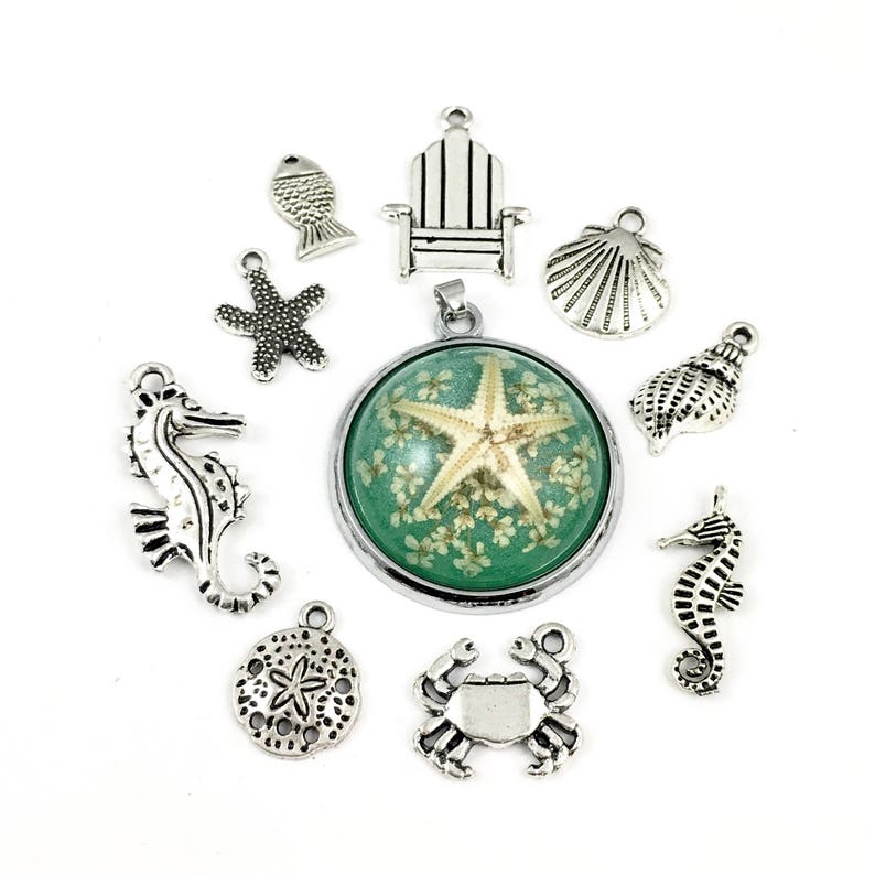 10 beach charms including real starfish resinpendant 13mm to 30mm #ENS A 273