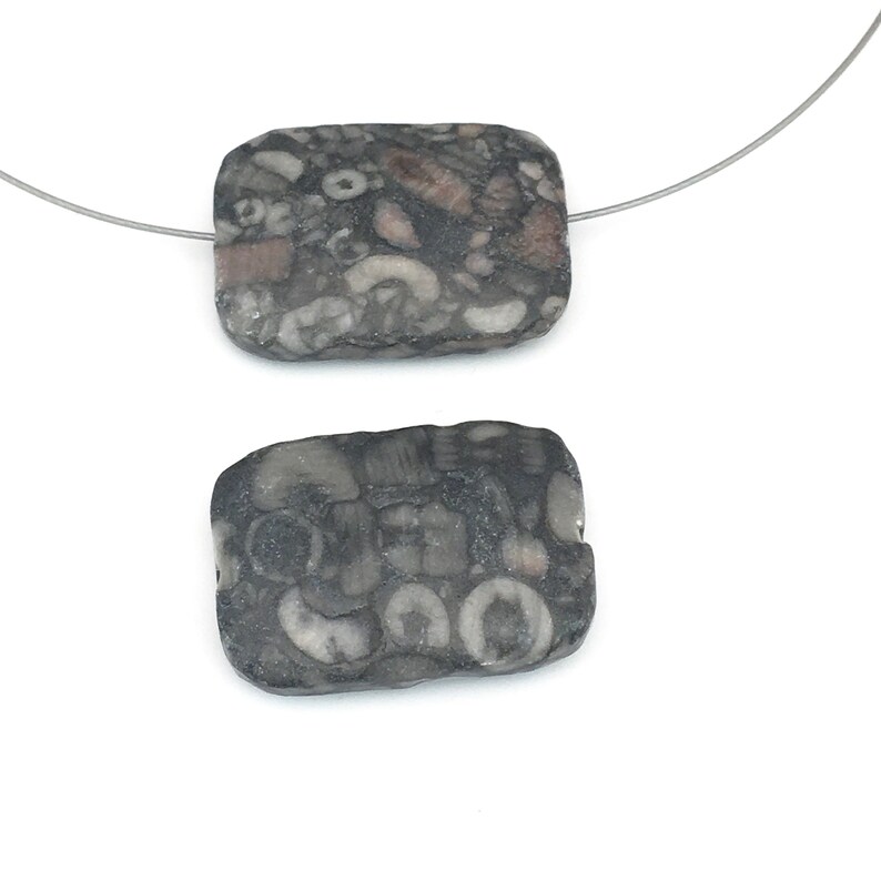 2 crinoid jasper.fossil stone beads18mm x 25mm / PP1472 Etsy