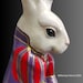 Medieval Tudor Doublet Rabbit, Renaissance Elizabethan Court Herald ...