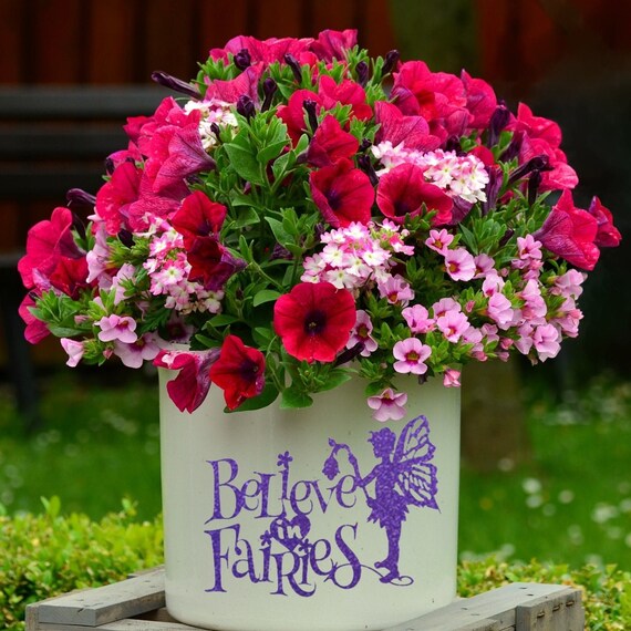 Fairy Decal, Believe in Fairies Vinyl Sticker Il_570xn