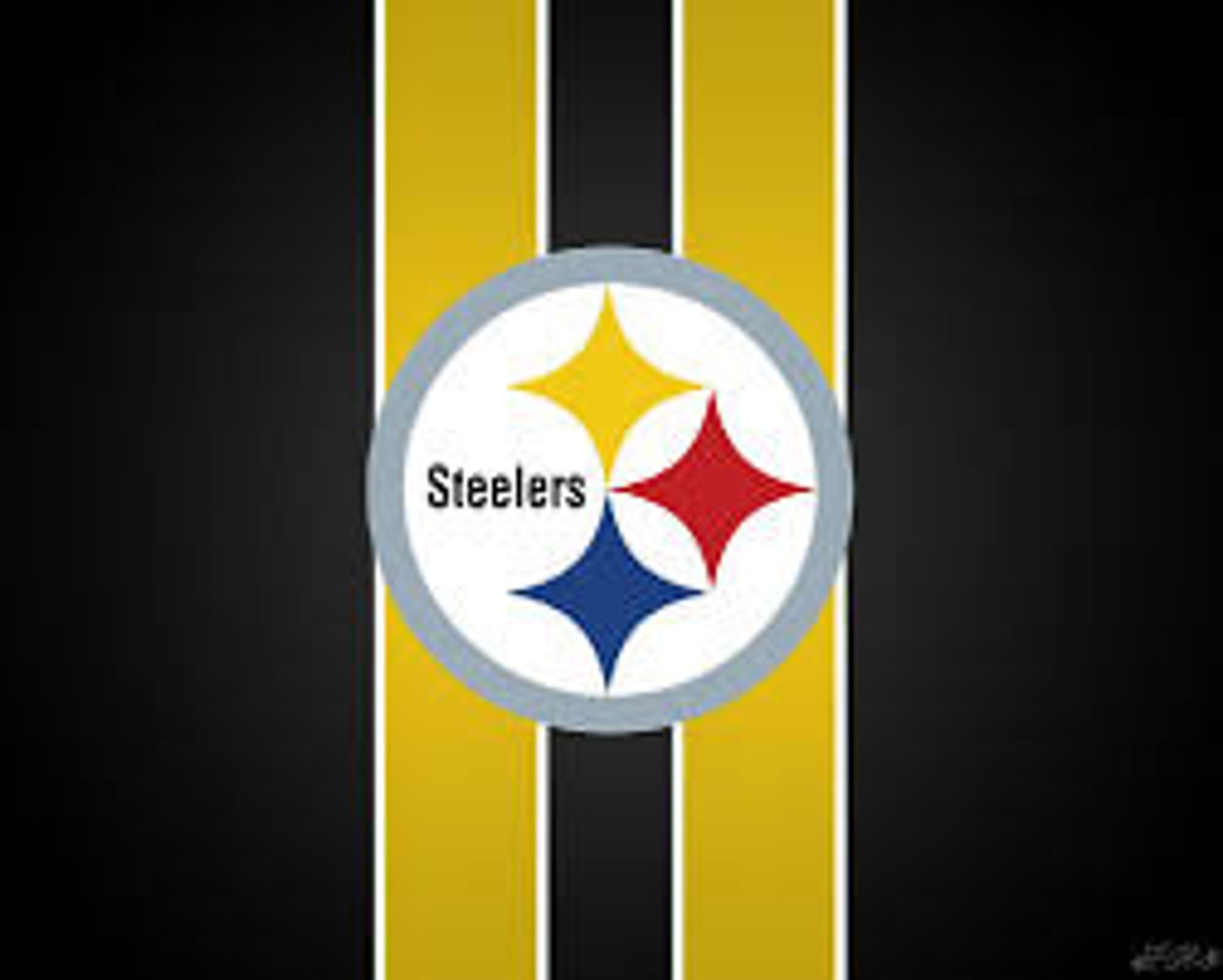 Pittsburgh Steelers Flexible Photo Fridge Buy Any 3 Get Etsy