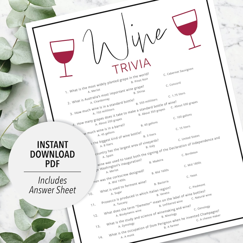 Wine Themed Party - Etsy
