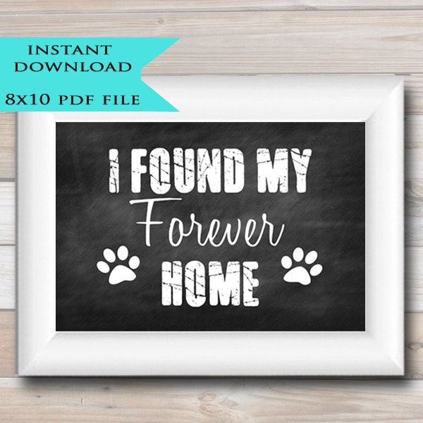 Printable Pet Photo Prop - INSTANT DOWNLOAD - Forever Home Chalkboard Sign - Pet Adoption- Shelter Dog Cat - Pet Rescue- Pet Portrait