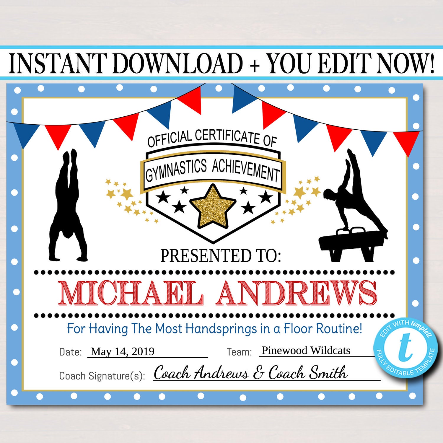 EDITABLE Gymnastics Certificates INSTANT DOWNLOAD In Gymnastics Certificate Template