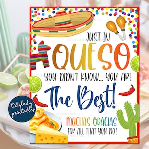 May include: A printable sign with a colorful background and a sombrero, a pinata, and a cactus. The text reads "Just in Queso You didn't know... You are the best! Muchas Gracias for all that you do!"