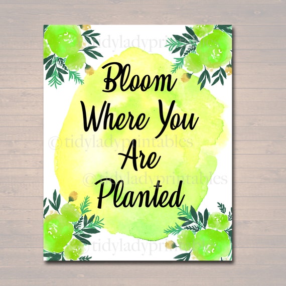 Inspirational Watercolor Printable Poster School Counselor | Etsy