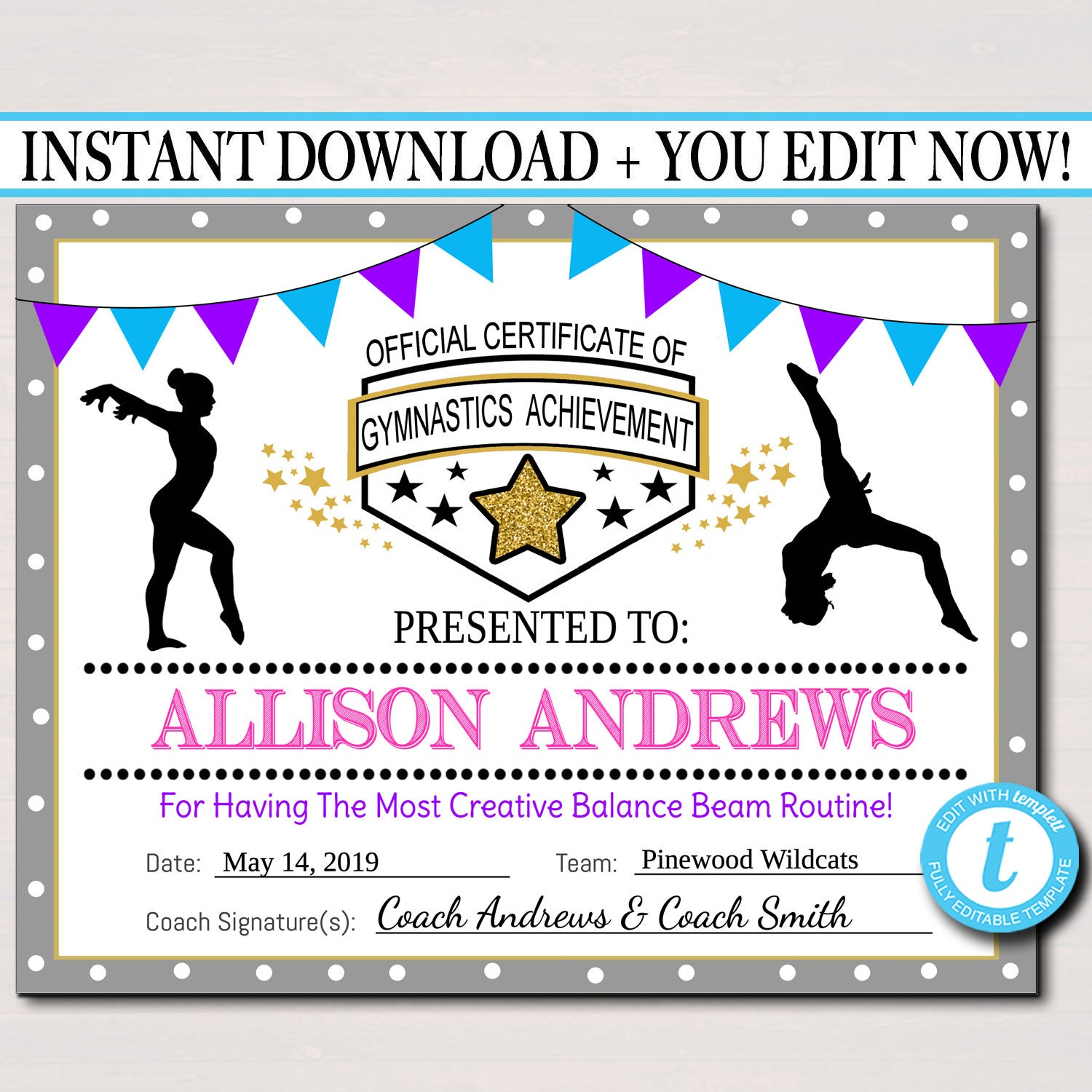 EDITABLE Gymnastics Certificates, INSTANT DOWNLOAD Gymnastics Team Awards,  Gymnastics Party Printable, Printable Gymnast Certificate Awards Within Gymnastics Certificate Template