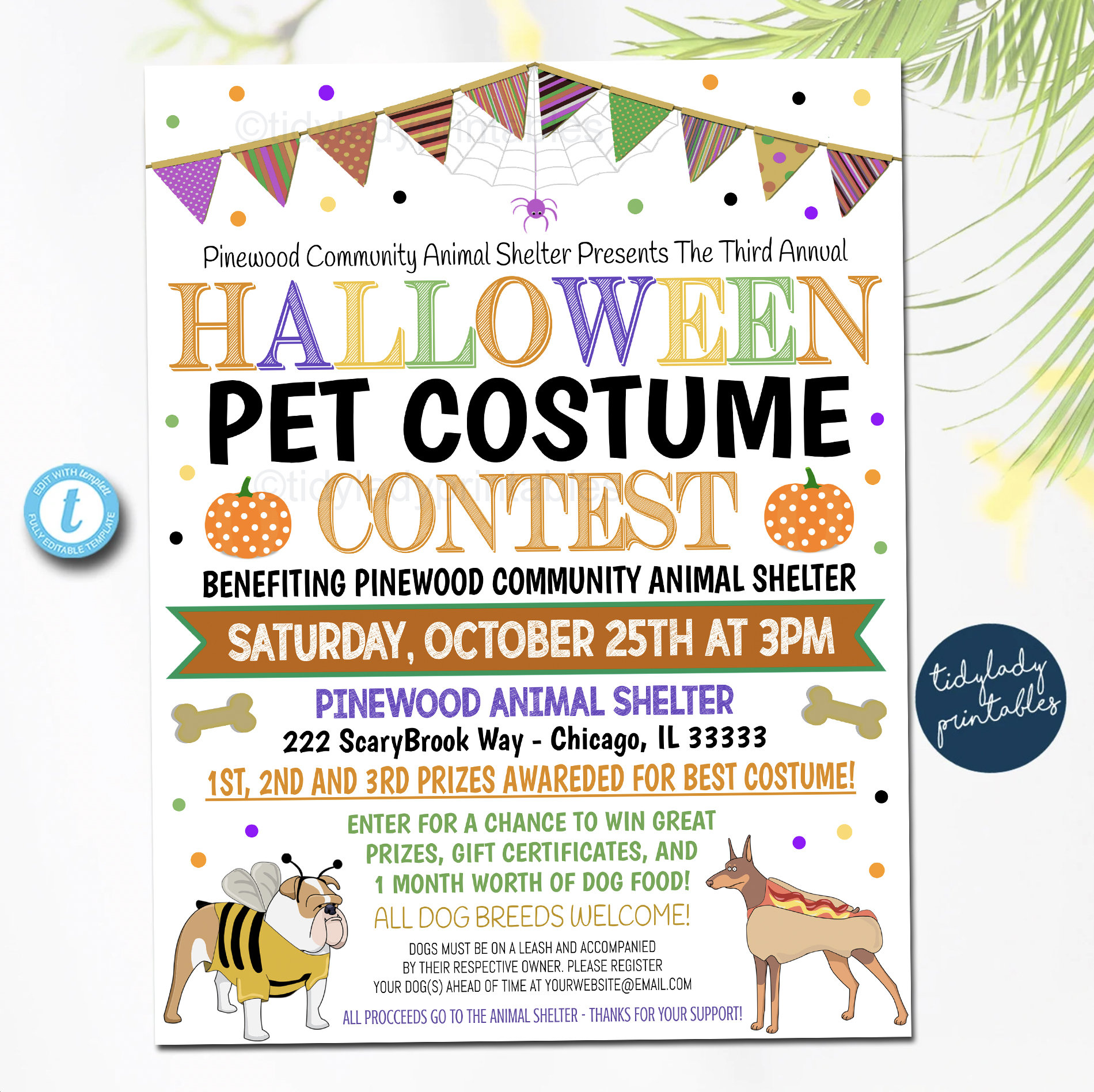 Editable Halloween Pet Costume Contest Flyer: Animal Shelter