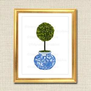 May include: A green topiary tree in a blue and white porcelain pot. The pot has a floral design.