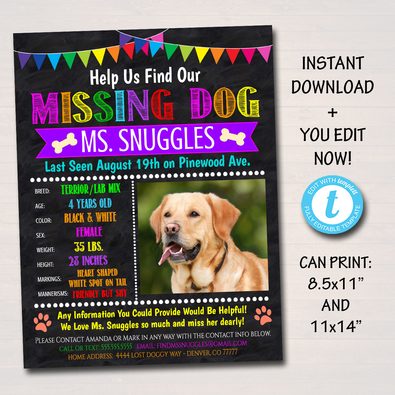 EDITIERBARE fehlt Hund Flyer und Poster Vorlage, druckbare verloren Hund  Haustier Flyer, sofortiger DOWNLOAD, bunten hellen aufmerksamkeitsstarke With Regard To Missing Dog Flyer Template