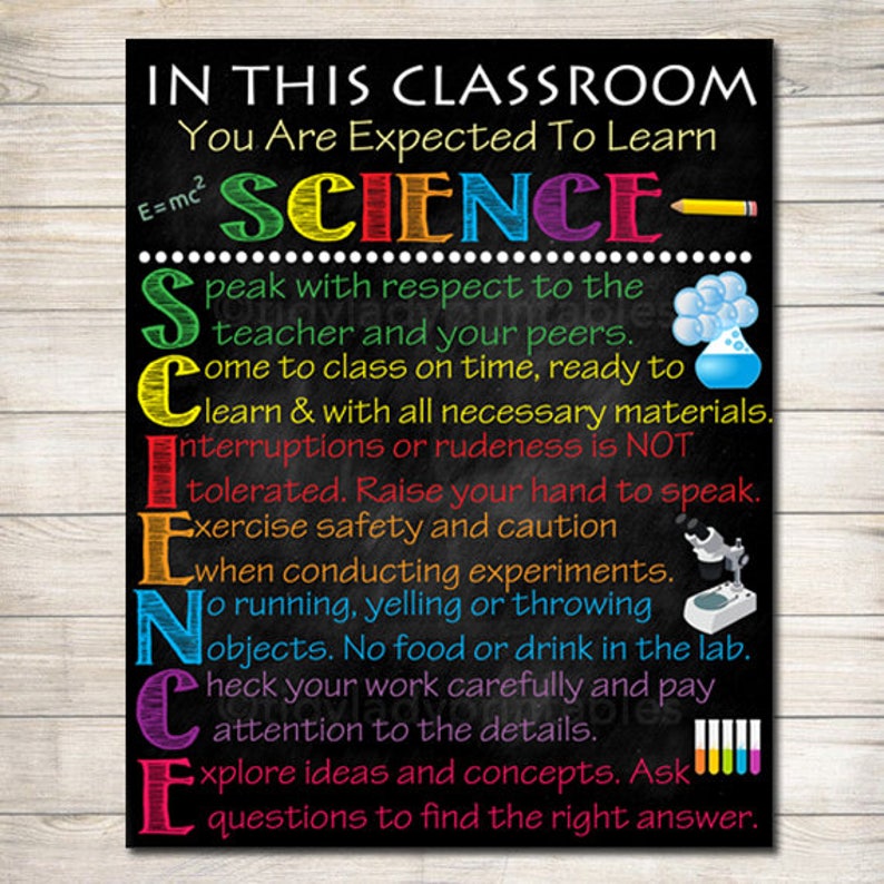 Science Classroom Rules Poster, Science Class Decor, Science Lab Printable Art, Classroom Sign, Custom Teacher Poster, Science Teacher Gifts image 2